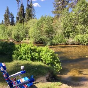 Meet your Posher, Dawna